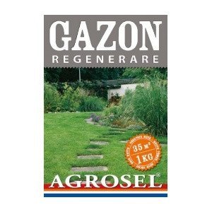 Seminte gazon
