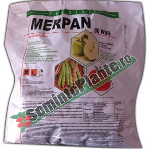 Fungicide legume