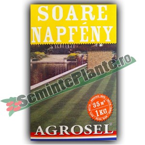 Seminte gazon