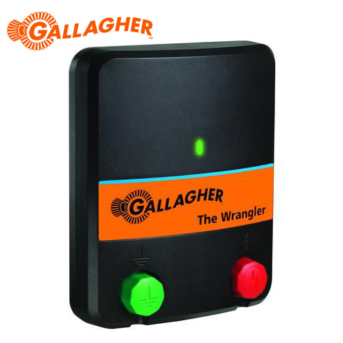 Generator impulsuri gard electric