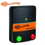 Generator impulsuri gard electric