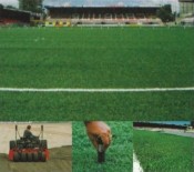 Stergatoare exterior