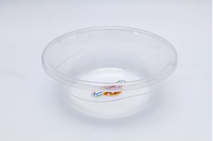 Castroane plastic