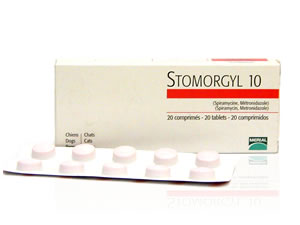 Antibiotice pisici