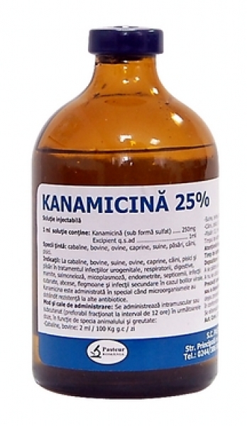 Antibiotice pisici