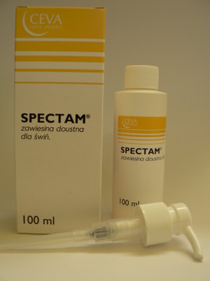 Antibiotice caini