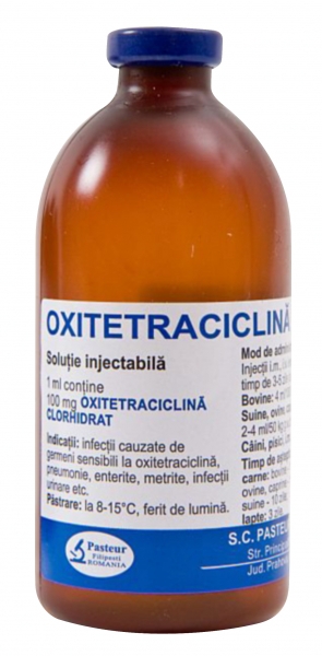 Antibiotice pisici