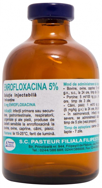 Antibiotice caini