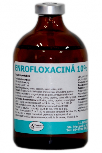 Antibiotice pisici