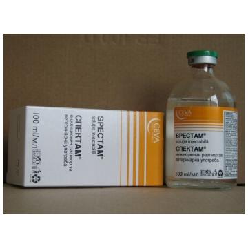 Antibiotice pisici