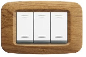 Placi ornament
