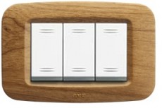 Placi ornament