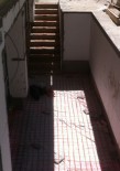 Degivrare cai de acces