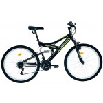 Biciclete ieftine