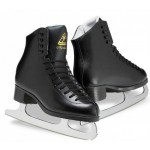 Patine iarna