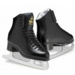Patine iarna