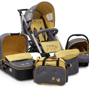 Carucioare 3 in 1