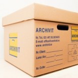 Cutii arhivare
