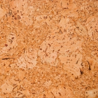 Pardoseli pluta