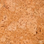 Pardoseli pluta