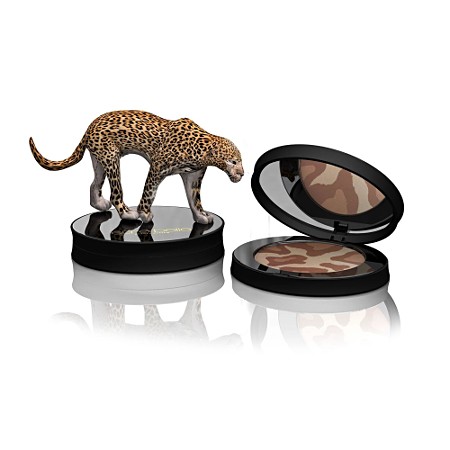 Pudra de fata profesionala