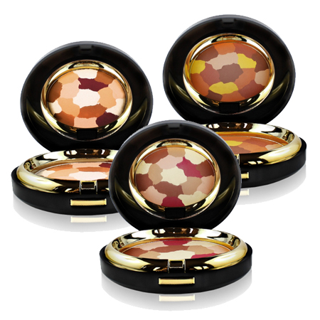 Pudra de fata profesionala