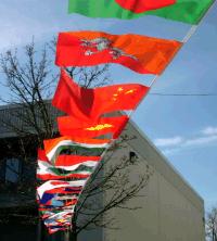 Ghirlande de stegulete