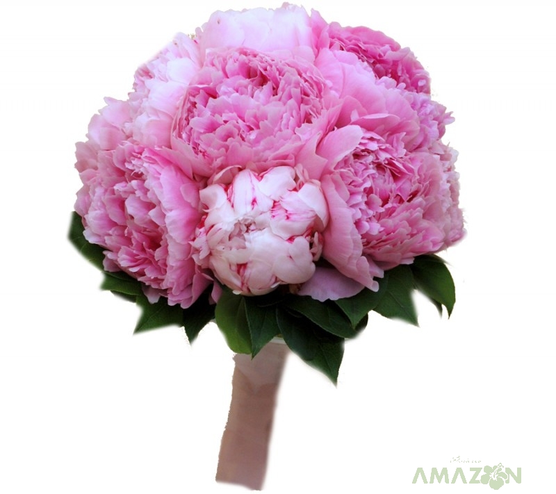 Buchet mireasa Bujori Sarah Bernhardt