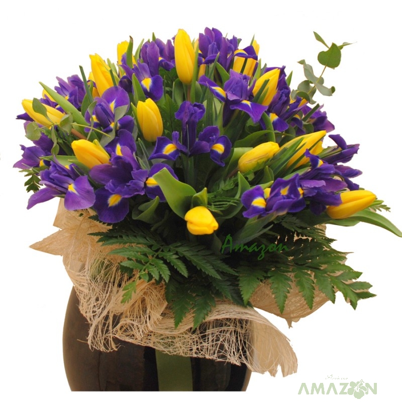 Buchet lalele si irisi