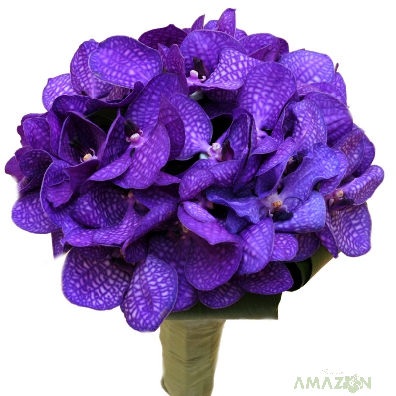 Buchet mireasa Vanda