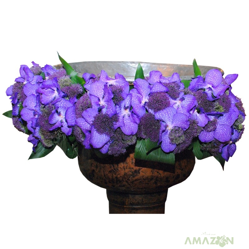 Aranjament cristelnita