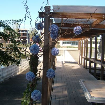 Aranjamente florale nunta