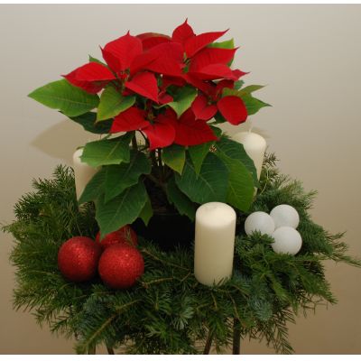 Aranjamente Craciun