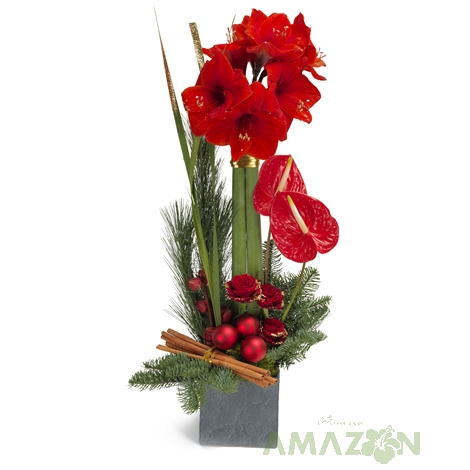 Aranjament floral Xmas Amarilis