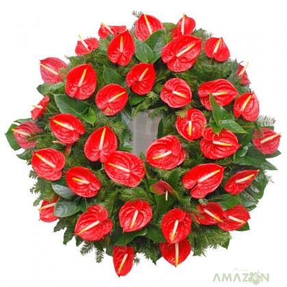 Coroana Rotund Anthurium