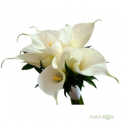 Buchet mireasa Calla