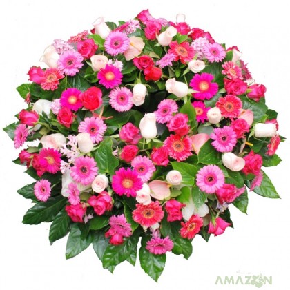 Coroana Rotund Plina