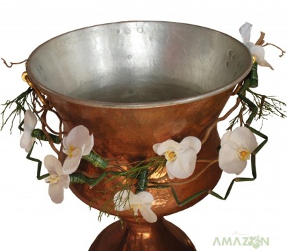 Cristelnita Botez Phalaenopsis