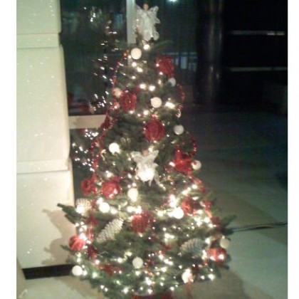 BRAD CRACIUN NATURAL