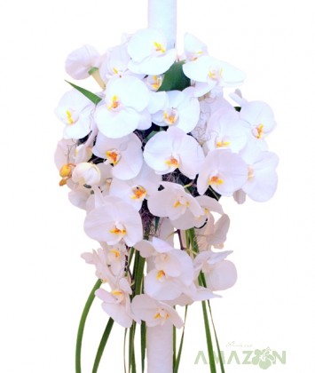 Lumanari Cununie Phalaenopsis