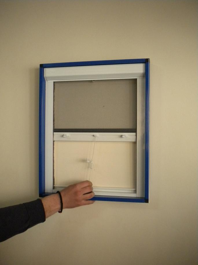 Plase rulou insecte