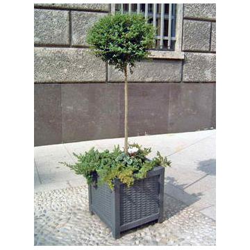 Jardiniere stradale