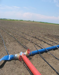 Instalatie de irigare prin picurare