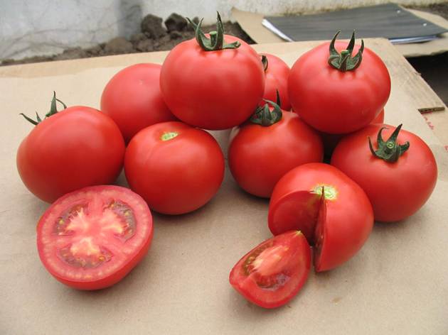 Seminte tomate Valday