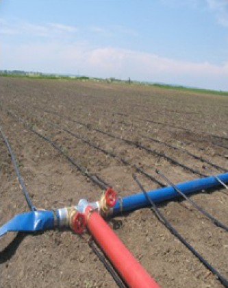Instalatie de irigare prin picurare