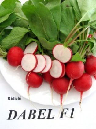 Seminte ridichi Dabel