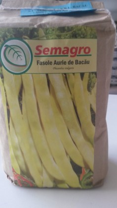 Seminte fasole aurie de Bacau Semagro