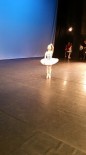 Scoala de balet Bucuresti
