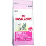 Royal canin kitten