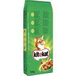 Kite-cat